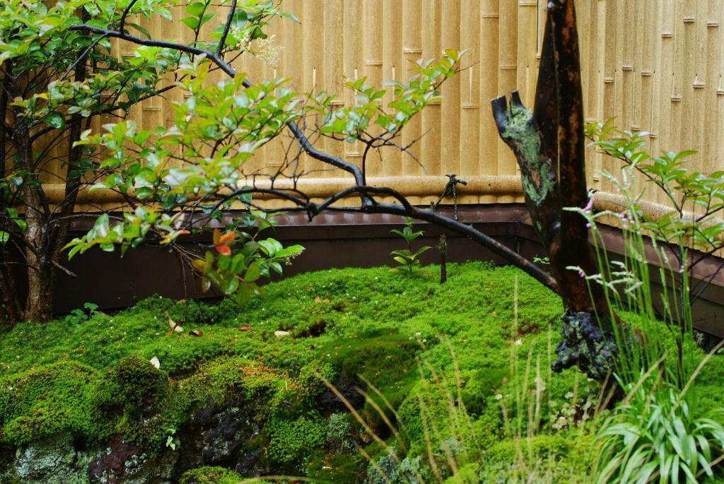 城崎温泉 但馬屋-tajimaya- 3* Toyooka (Hyogo)